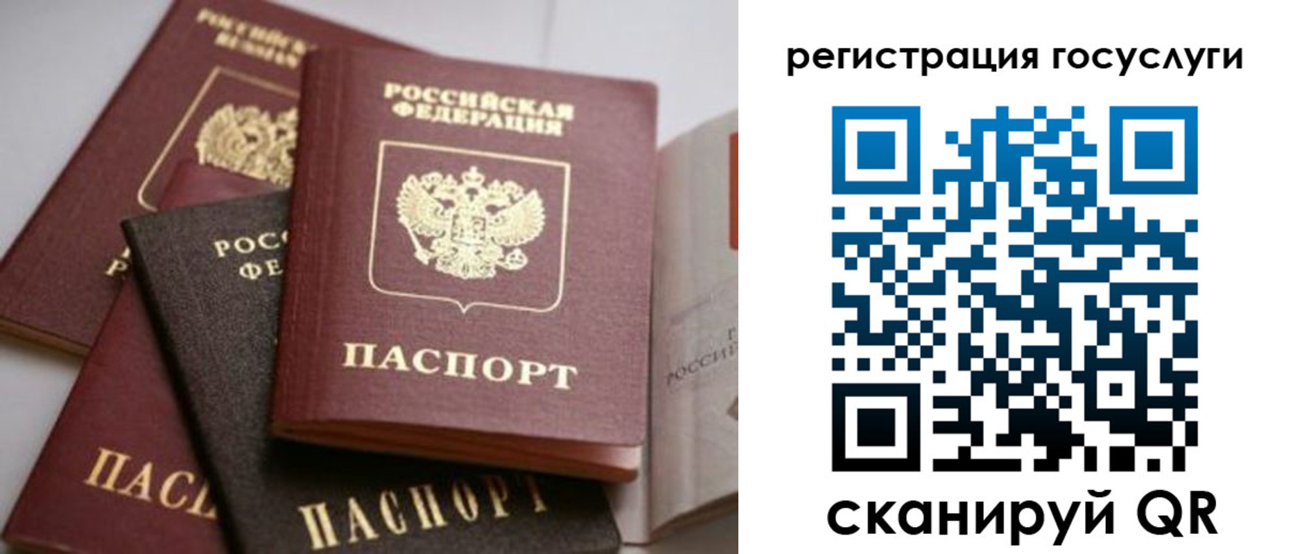 пропишу в квартире в Владимирской области